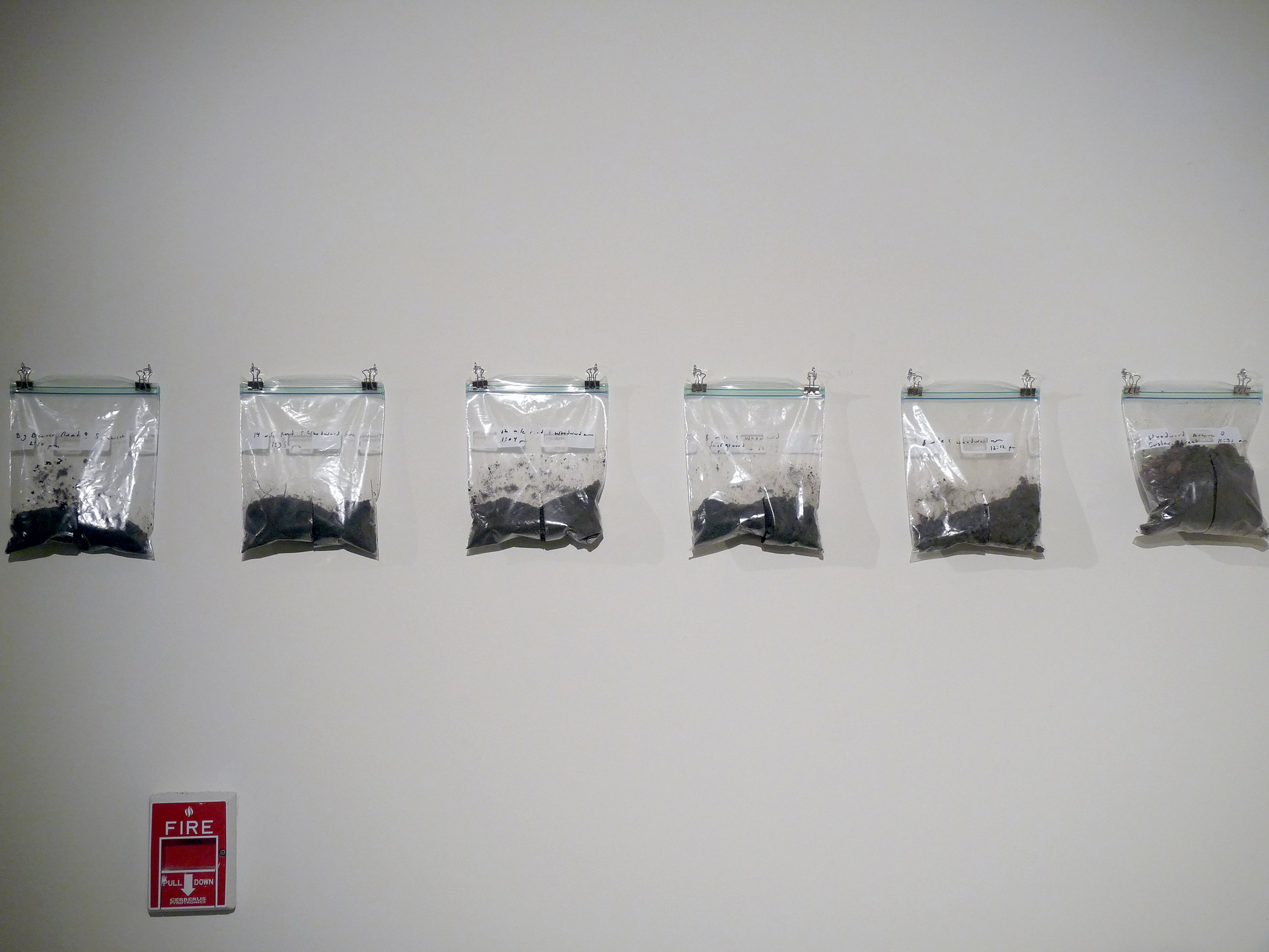 transplanting dirt and disbursing trees - image 1